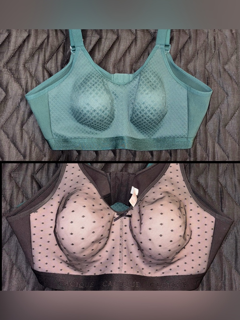 Lane Bryant Cacique Bra Set